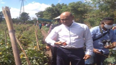 Gubernur NTT, Viktor Bungtilu Laiskodat mengunjungi kebun contoh berbasis teknologi di Kabupaten Sikka (Minggu, 26/7/20)