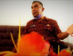 Percepat Data Kelahiran dan Kematian, Dukcapil Ende Gandeng Rumah Sakit