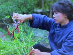 Mengenal Li Ziqi, YouTuber Desa yang Pecah Rekor Dunia
