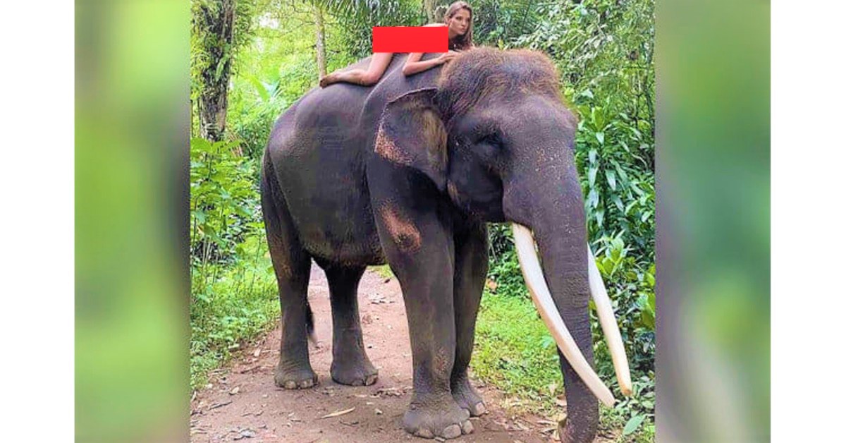 Pose Alesya Kafelnikova menunggangi gajah di Bali, dikecam netizen Indonesia