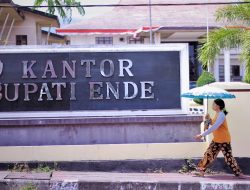 Ini 9 Paket Pekerjaan Pemkab Ende yang Gagal Tender, Nilainya Miliaran