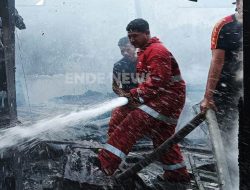 Dua Gedung Sekolah di Ende Hangus Terbakar