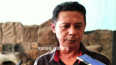 Maxi Mari, sekretaris partai Demokrat Ende sekaligus ketua tim pemenangan paket Deo Do