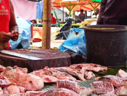 Harga Ikan di Ende Melonjak Akibat Cuaca Buruk