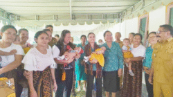 Ketua PKK NTT Dorong Penguatan Kapasitas Kader Posyandu